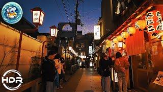 [ Travel Japan ] Osaka Gourmet Alley. Hozenji yokocho #walking_tour