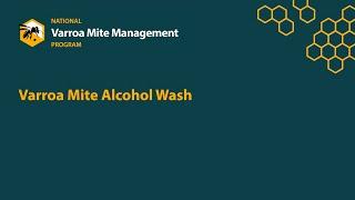 Alcohol Wash for Varroa Mite