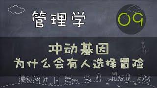 【管理学】冲动基因-为什么会有人选择冒险   #价值提升学院#管理学