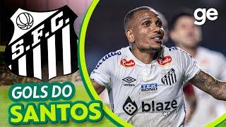 SANTOS VOLTOU! TODOS OS GOLS DO SANTOS NA SÉRIE B 2024 | LISTAS | ge.globo