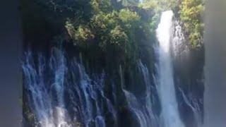 Hiking at Burney Falls in Northern California #vlog #hiking #holisticme #waterfall