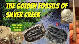 Golden Fossils of Silver Creek, Trilobites Cephalopods, Fossil Hunting and Collecting With Chris