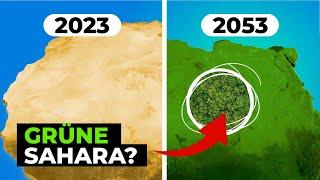 Wie die Sahara wieder grün wird