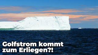 Droht Eiszeit in Europa? - Bringt Klimawandel Golfstrom zum erliegen? - Clixoom nature