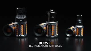 IILUMO BURST+ : Indicator Light LED Bulbs