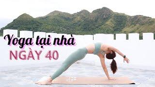 Yoga Tại Nhà | Ngày 40 | Hye Yoga