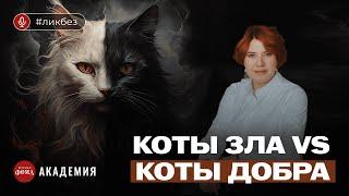 Самые яркие и противоречивые коты в мировой литературе. Марина Пахолкина