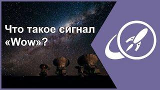 Что такое сигнал «Wow» ? [Fraser Cain]