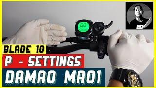 Pre Program Settings Damao Mao1 Display | P - Settings |  Blade 10 | James Angelo TV | Vlog.80