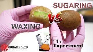 Waxing VS Sugaring EXPLAINED on KIWI by Sugaring NYC