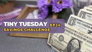 Tiny Tuesday Savings Challenge Ep14 | Saving up to payoff debt!