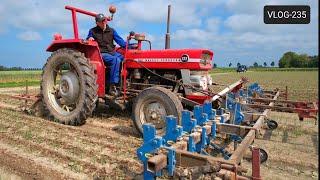 FARMVLOG #235 uien schoffelen, tulpen rooien, kilveren.