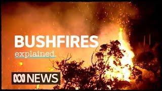 The science of bushfires explained | ABC News