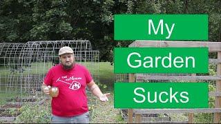 Successes, FAILURES, and Words of Encouragement For BEGINNER GARDENERS