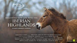 Breathing New Life Into The Iberian Highlands | Documentary by Emmanuel Rondeau | Rewilding Spain