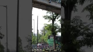 Bus pariwisata angkutan lebaran