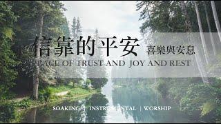 信靠的平安喜樂與安息 PEACE OF TRUST AND JOY AND REST ｜ 靈修鋼琴沉浸音樂 soaking music piano#instrumental#relaxingmusic