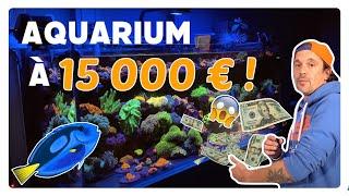 AQUARIUM À 100 EUROS VS AQUARIUM À 15000 EUROS ! -TOOPET