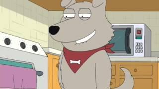 Family Guy - New Brian humps Rupert