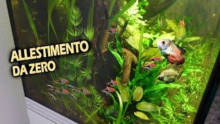 Allestimento NUOVO ACQUARIO da ZERO (Tema Asiatico)