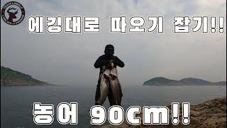 에깅대로 따오기(농어 90cm) 잡기!!