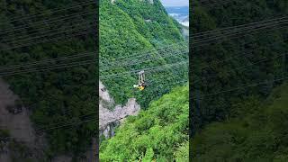 峡谷高空滑索！Canyon zip line #animal 【跟着图尔去旅行】