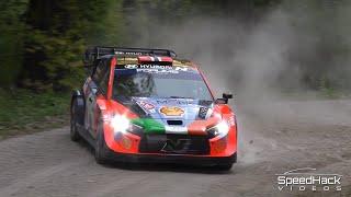 WRC Croatia Rally 2024 Day 2 | Big Slides & Mistakes