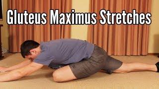 Gluteus Maximus Stretches: Glute stretching