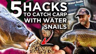 FIVE Reasons Why You NEED To Use Frozen Water Snails for carp Fishing! 