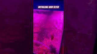 New Filter installed