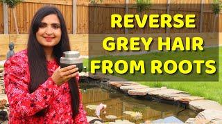 3 SEED HAIR OIL To Get BLACK HAIR Permanently |  REVERSE GREY HAIR #ReverseGrayHair #Haircare #grey