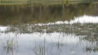 The Lake at Dumaresq Dam