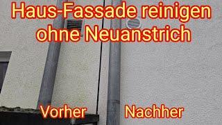 Haus-Fassadenreinigung ohne Neuanstrich - Grünbelag entfernen, Grünbelagentferner, Algenentfernung