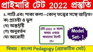 Primary Tet Preparation 2022 || Primary Tet Bengali Class || WB Primary Tet Preparation 2022 || PTET