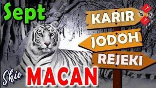 Shio MACAN ,September CERIA #Rejeki, #asmara,# jodoh,# karir #tarot #tarotreading #ramalan