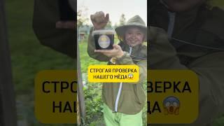 Прошел мёд проверку или нет ? #пасека #мёд #деревня #пчелы #пасекагатуповых #жизнь #работа #дача