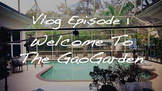 GaoGarden Vlog Episode 1 - Welcome To The GaoGarden 高老莊