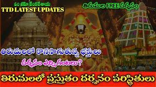 tirumala free darshan update || ttd updates today || meena tirumala updates