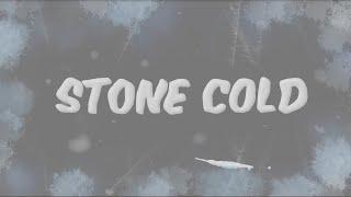 Stone Cold - Dess Dior & Mariah The Scientist (Official Lyric Video)