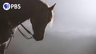 Equus "Story of the House:" Chasing the Wind | PBS Nature Documentary