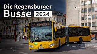 Die Regensburger Busse 2024 | das Stadtwerk. Mobilität