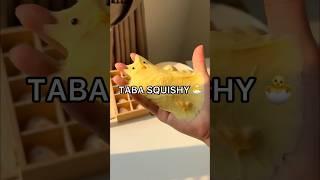 *RESULTS* I Made a VIRAL TABA SQUISHY!  How to Make a Taba Squishy Tutorial