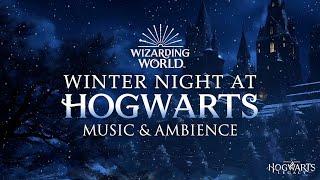 Winter Night at Hogwarts | Harry Potter Music & Ambience, Peaceful Night in Winter ️