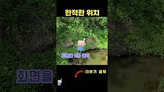산 중턱 골짜기 계곡물 흐르는 토지매매 연못 전기 설치 포장도로접 전원주택 짓기 다용도 활용 가능한 계획관리지역 괴산군 감물면 오성리 717평 평당16만원 토목 완료된 평평한 땅