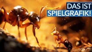 Echtzeit-Strategie mit Unreal Engine 5 - und unheimlich vielen Beinen! | Empire of the Ants