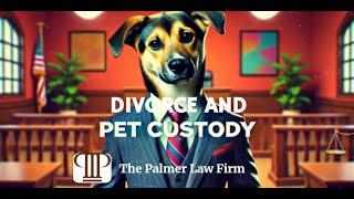 DIVORCE AND PET CUSTODY