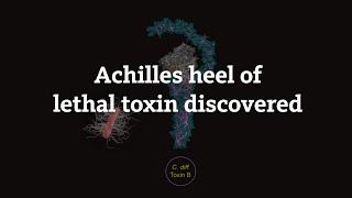 Achilles heel of lethal toxin discovered - Rongsheng Jin | UCI School of Medicine