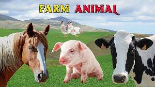 Facts about Farm Animals - Animal Sound