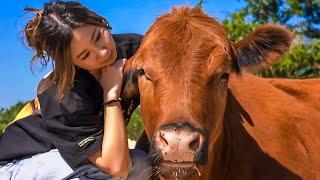 I visited an animal sanctuary and it changed my life.