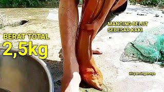 MANCING BELUT SEBESAR KAKI 2,2KG || Rekor Mancing Belut 2022 Terbaru Langsung Viral di youtube